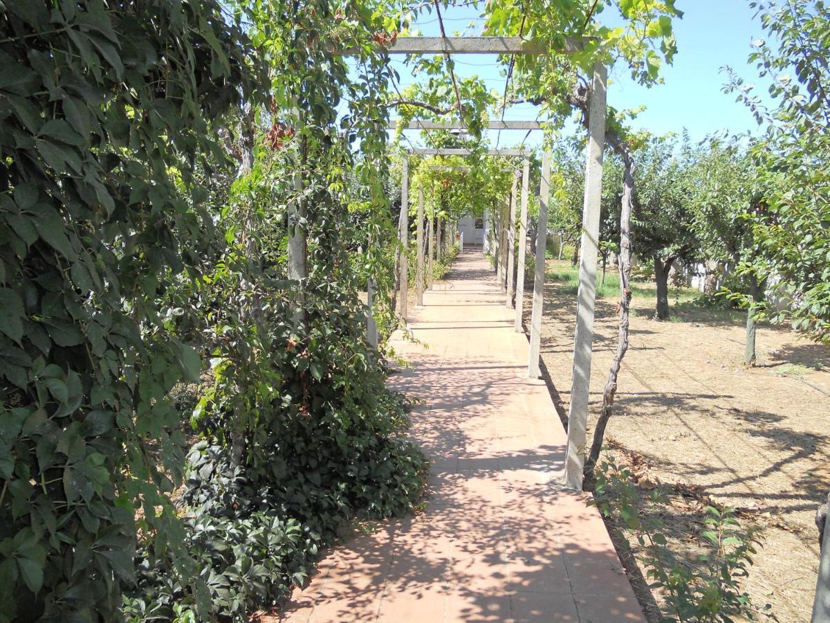 גאליפולי Villetta Patitari מראה חיצוני תמונה